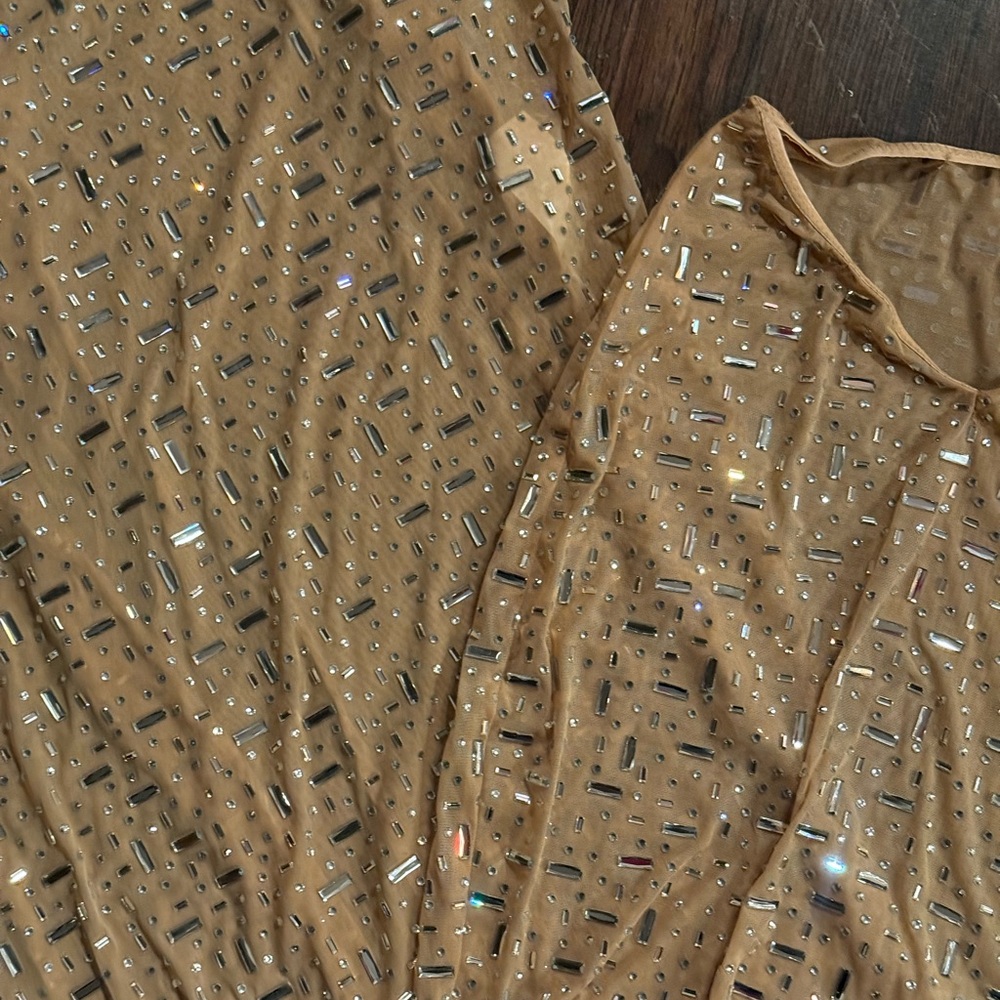Chiara Sheer Embellished V-Waist Gown Skirt in Almond - Picture 12 of 14